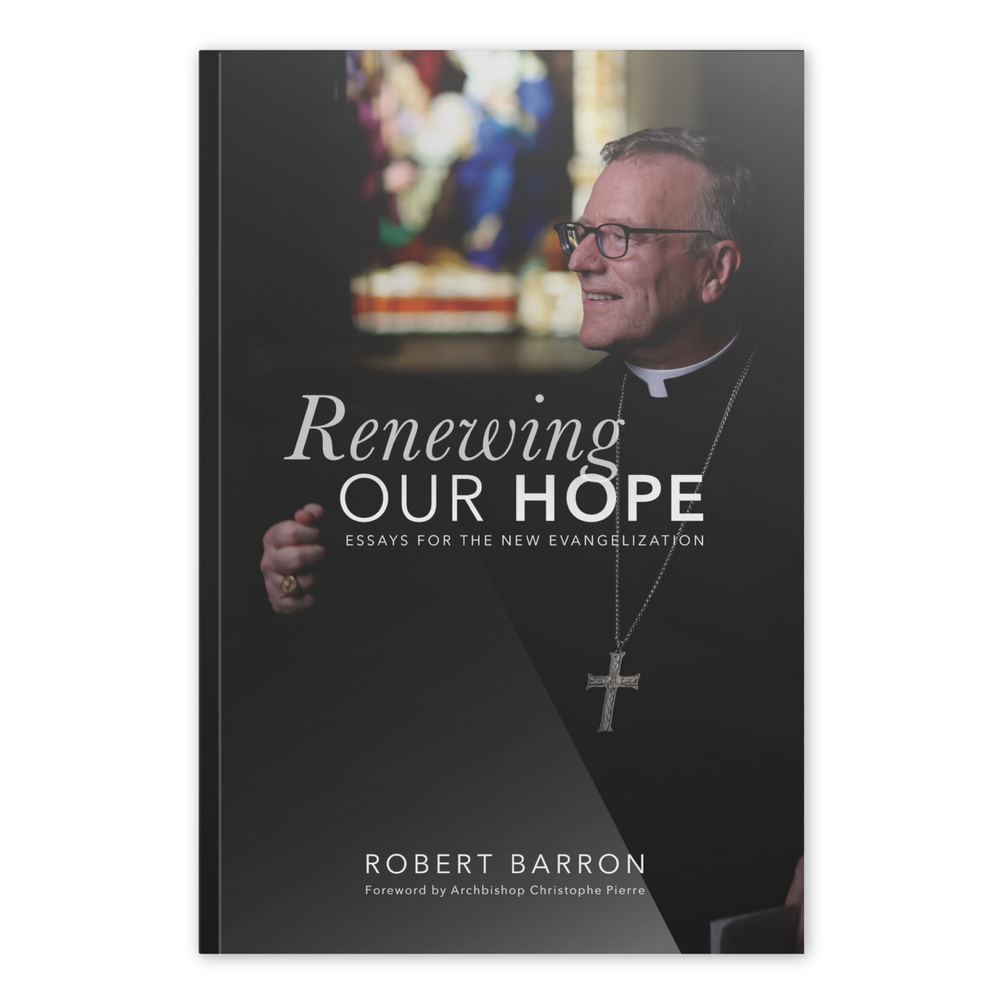 Renewing Our Hope: Essays for the New Evangelization