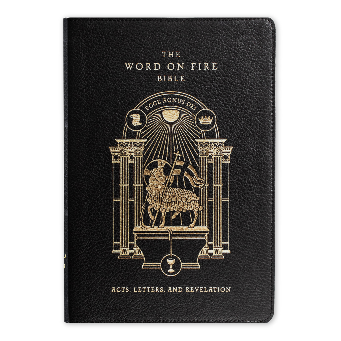 The Word on Fire Bible (Volume II): Acts, Letters and Revelation